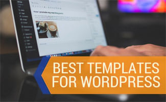 Screenshot of person on computer: Best Templates for WordPress