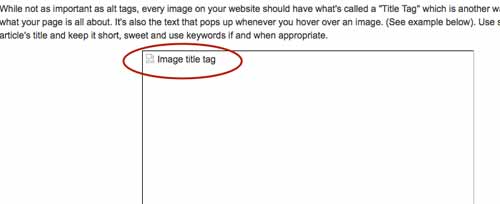 Image alt text